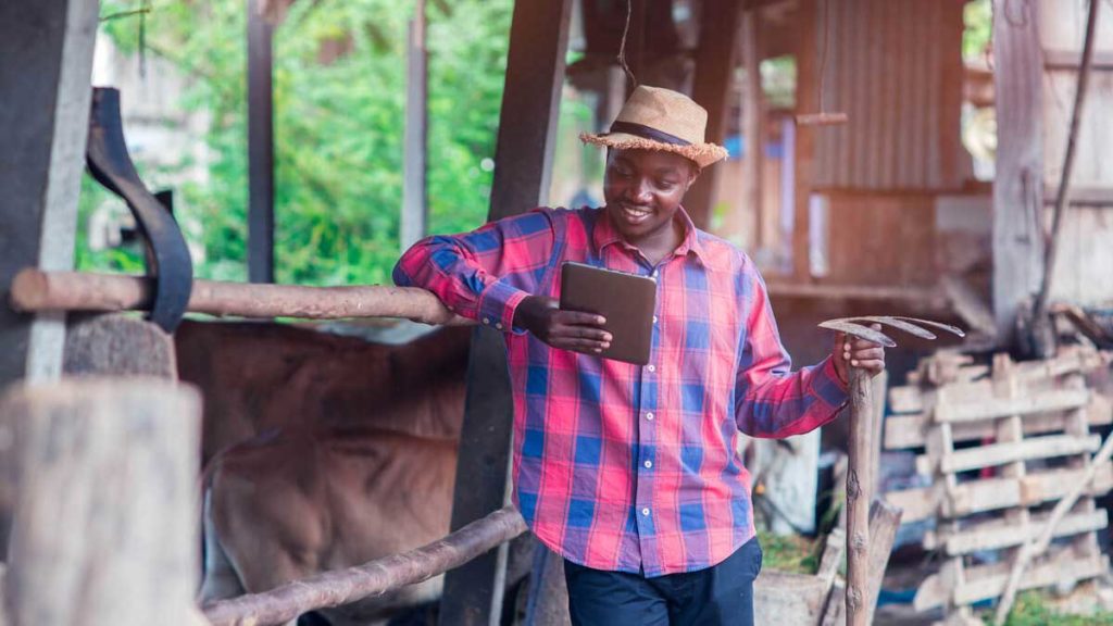 Digital innovation for African farmers