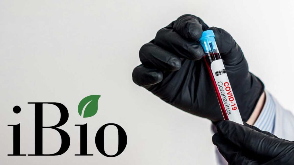 iBio to develop second vaccine platform against