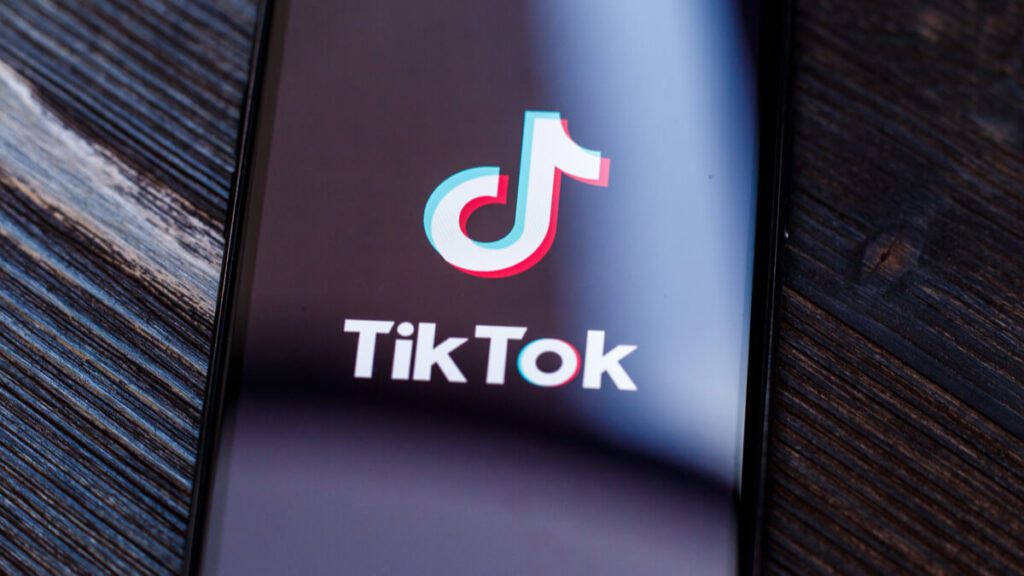 data harvesting claim against TikTok