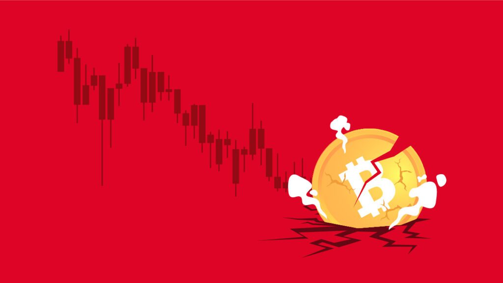 What Led to the Crypto Crash