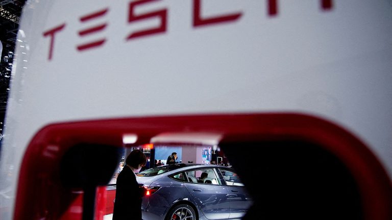 Tesla Market Share Could Be Dented by Cheaper Rival EVs