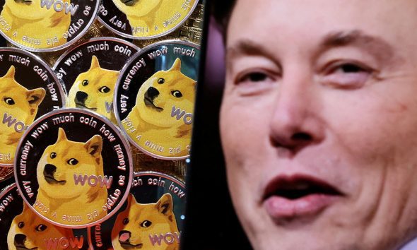 Elon Musk Frees the Bird and the Dog Coin Flies