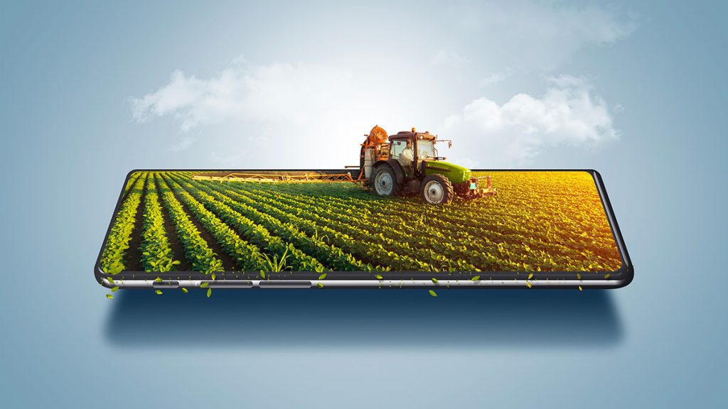 The Impact of Telecom on Agricultural Production