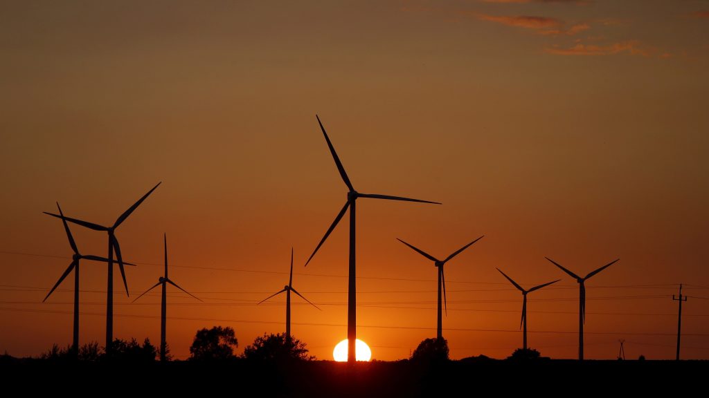 Renewable Energy Share by 2030