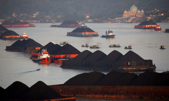Insuring Carbon Projects