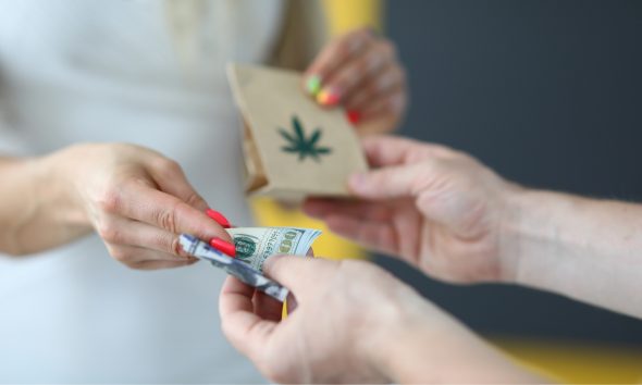 cannabis payments, financial institutions, transactions, fintech, legacy institutions,