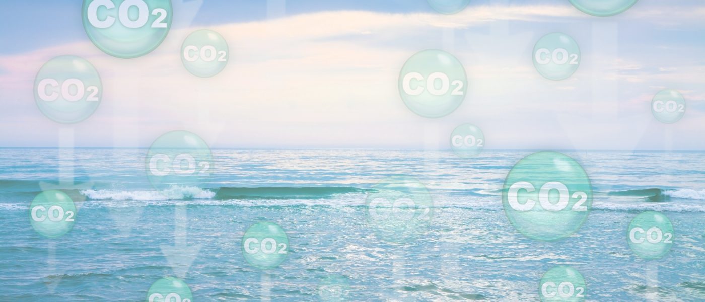 ebb carbon, ocean, co2, ocean acidification
