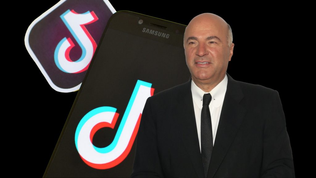 $20 billion to $30 billion has been placed by Canadian businessman, Kevin O’Leary, for a potential purchase of TikTok China.