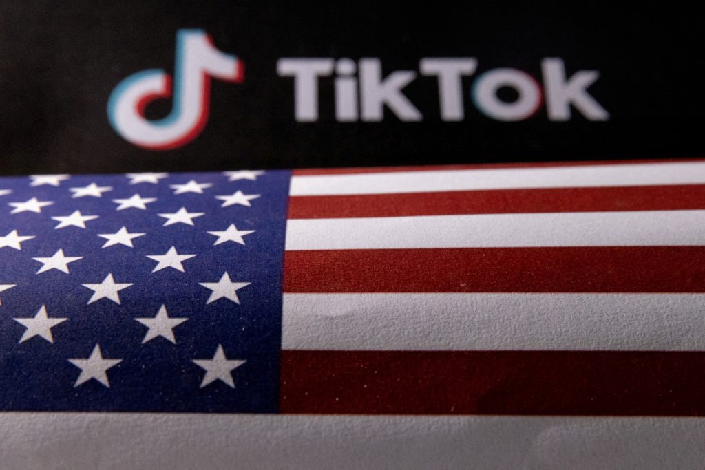 TikTok's potential influence on 2024 US elections raises concerns and what Director of National Intelligence Avril Haines said at a hearing.
