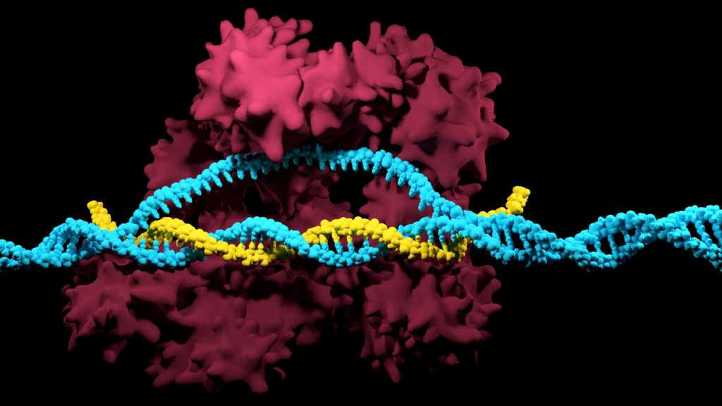 protein design, protein, CRISPR, gene editing, profluent, dna