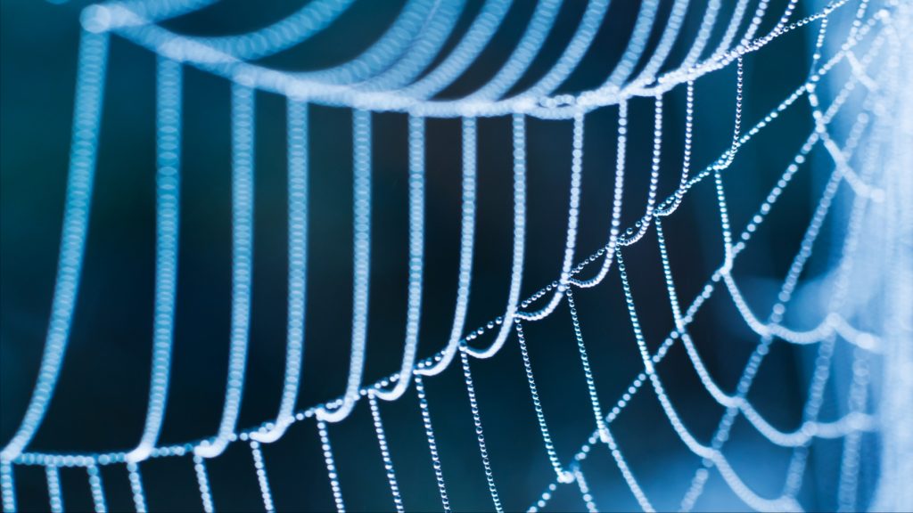 electronic sensors, spider silk, invention, prosthetic,