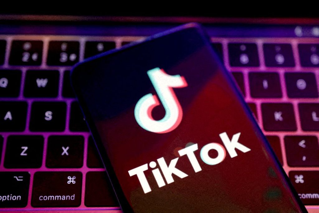 Meta Platforms and TikTok said a European Union supervisory fee levied on them was disproportionate and based on a flawed methodology.