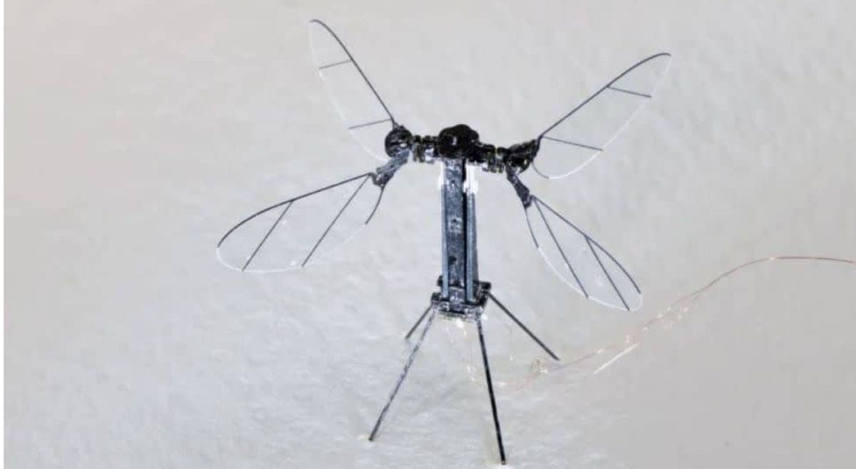 A Chinese military robotics lab at NUDT in Hunan, created a mosquito drone designed for stealth operations.