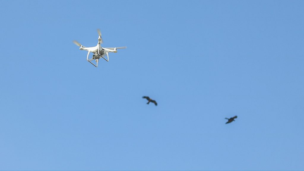 At the 20th CITES Conference, experts warned illegal trade that threatens species and pushes to extend wildlife technologies preservatory.