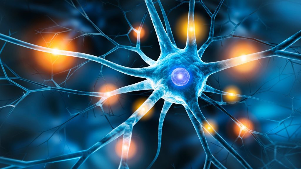 AI tools transform single cell biology by allowing researchers to track life cycles and build massive datasets for predictive medicine.