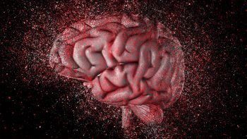 Scientists are worried about the AI and human intelligence relationship and the tendency of delegating the ability to think critically to AI systems.